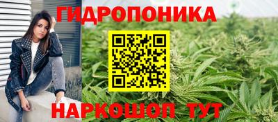spice Пушкино