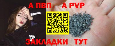 индика Пугачёв